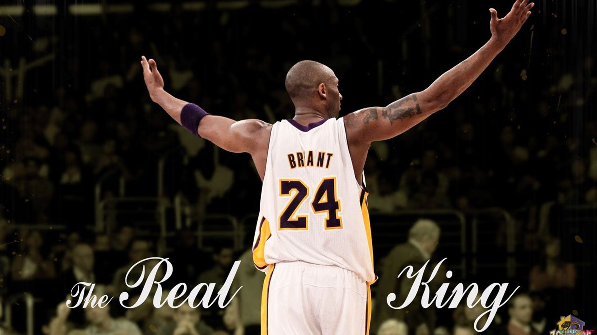 _季前赛火热开打，顶尖选手蓄势待发_，季前赛名单